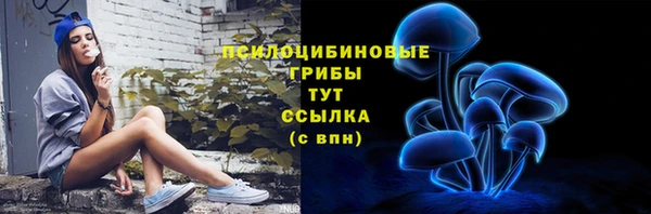 шишки Корсаков