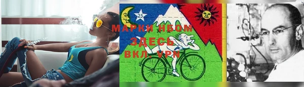 амф Костерёво