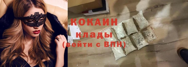 крисы Коряжма