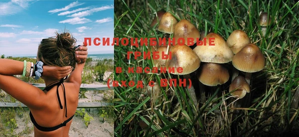 соль ск Пролетарск